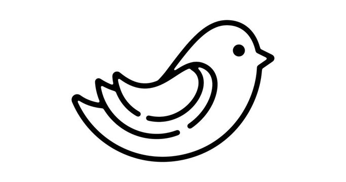Bird line icon motion graphic animation with alpha channel.