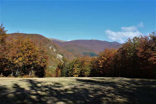 Casone, Toscana,Vacanza,Autunno,Paesaggio,Alberi,Rami,Foglie, Natura, Arancione,Rosso,Giallo, Colori,Panorama, Bosco,Selva,Foresta,,Marrone,Silenzio,Pace,Multicolore,Escursione,Trekking,Luce,Ombra