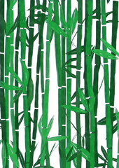 Watercolor bamboo