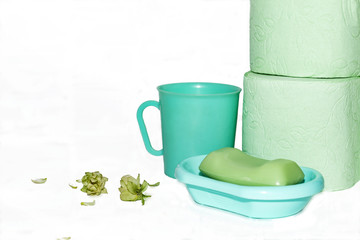 soap in the soap dish, mug and toilet paper