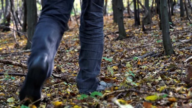 Man walking through the forest full of autumn leaves - (4K)
