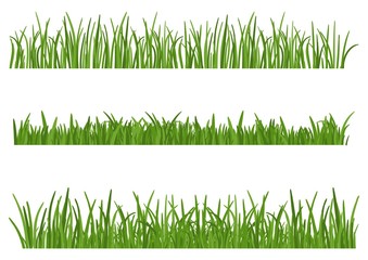 Green Grass isolated on white background. Set of Grass heights design elements of nature. Lawn vector illustration