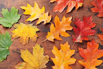 Naklejka na ściany i meble Autumn backdrop with colorful leaves
