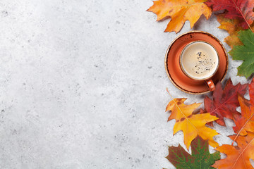 Autumn backdrop with colorful leaves
