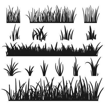 Set of black grass silhouettes isolated on white background. Grass heights design elements of nature. Template for design. Lawn vector illustration