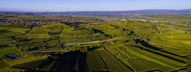 Weinberge von oben Drohne 
