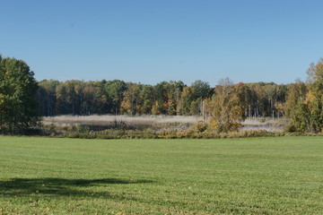 Krajobraz mazurski - bagno