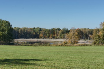 Oczko śr&oacute;dleśne