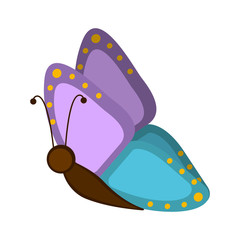 Isolated cute butterfly icon. Vector illustration design