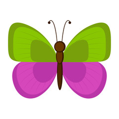 Isolated cute butterfly icon. Vector illustration design