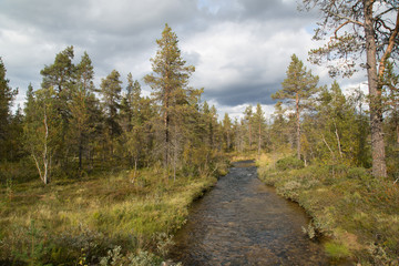 Fototapeta na wymiar Nature on the mountain Kiilopää, Kakslauttanen stream