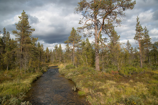 Nature On The Mountain Kiilopää, Kakslauttanen Stream