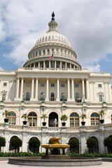 Obraz premium The United States Capitol, often called the Capitol Building, is the home of the United States Congress, and the seat of the legislative branch of the U.S. federal government