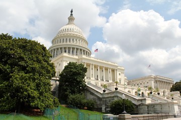 The United States Capitol, often called the Capitol Building, is the home of the United States...