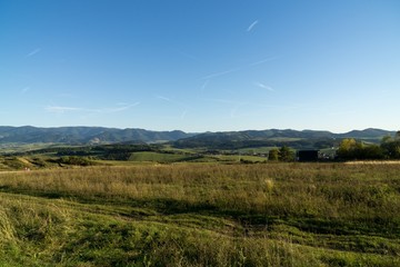 Green meadow with trees and views to mountains. Slovakia	