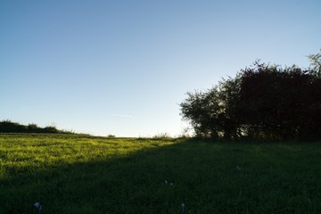 Green meadow with trees and views to mountains. Slovakia	