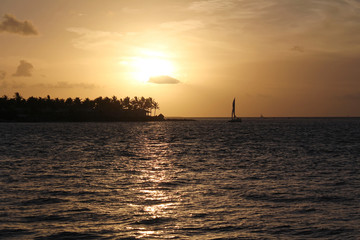 Naklejka premium Key West, Florida, USA - July 20, 2016: Beautiful sunset in Key West