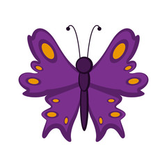 Isolated cute butterfly icon. Vector illustration design