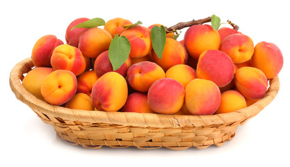 Apricots in a basket isolated on white