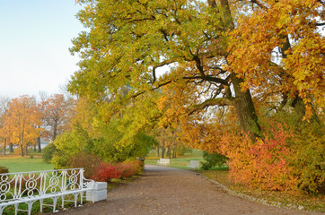 Autumn landscape in the Park.