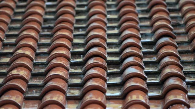 scoscio di pioggia in estate preannuncia l'autunno