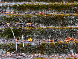 Old roof tiles texture