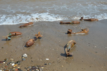 war zone, unexploded bombs