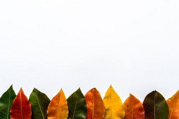 Herbstlicher Hintergrund mit bunten Blättern 
