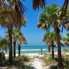 Caladesi Island, Florida, USA - July 27, 2016: Path access to Caladesi Island Beach between Palms trees in Florida