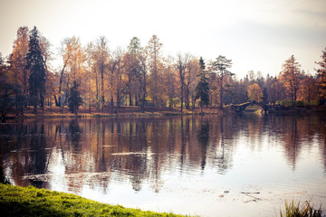 autumn trees and leaves in a park overlooking the lake