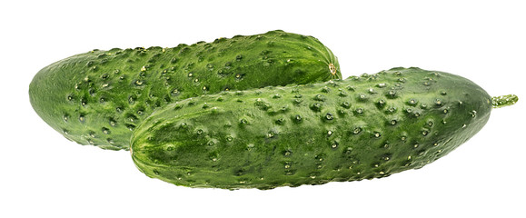 Fresh cucumber isolated on white background with clipping path