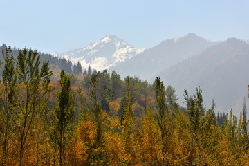 Mountain landscape in Almaty, Big Lake
