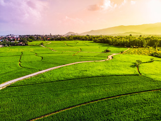 Beautiful Terraced rice field in harvest