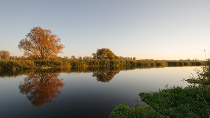 Fototapeta na wymiar Bunte Herbstbäume an der Havel im Naturpark Westhavelland