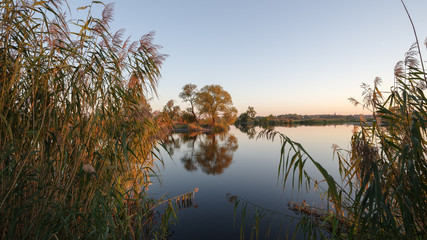 Bunte Herbstbäume an der Havel im Naturpark Westhavelland