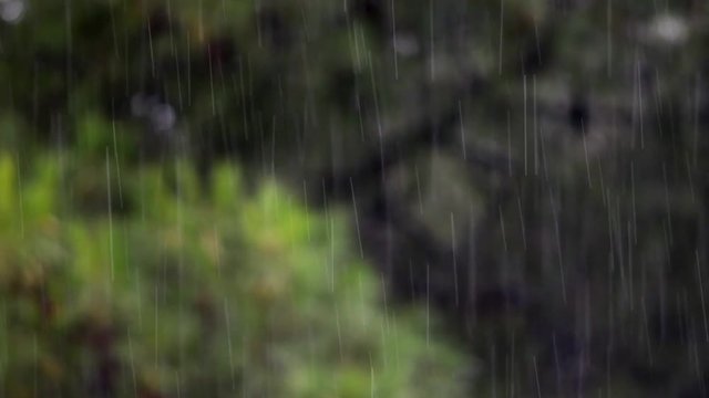 scrosciodi pioggia in estate preannuncia l'autunno