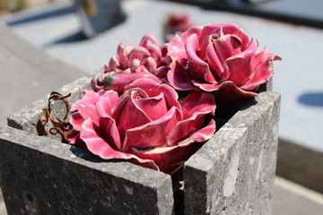 cimetière : repose en paix : RIP