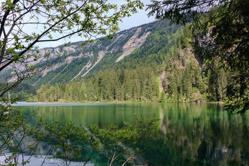 Fototapeta na wymiar Blick auf glasklaren Tovelsee Naturpark Impressionen Italien Lago di Tovel