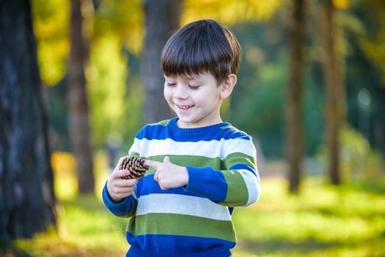 White Toddler boy playing in a pine forest with pine cones. Conifer cones on the grass serve as toys for the kid