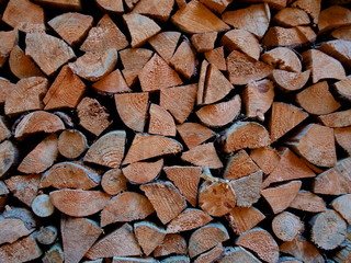 The collected firewood in the autumn for the winter