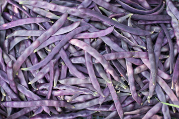 Fresh purple beans