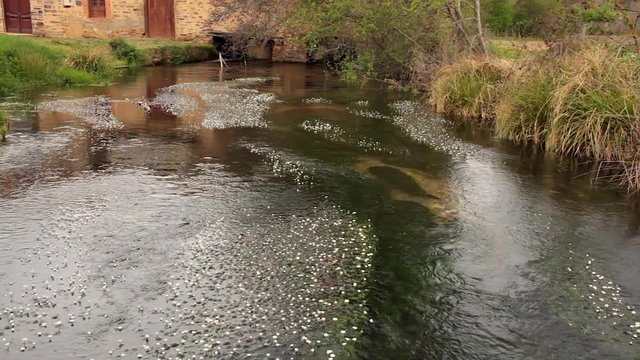 Arroyo en la Salida de un Viejo y tradicional Molino
