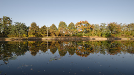 Bäume an der Havel in Rathenow vor der Hauptschleuse