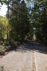 originaler aufgegebener Teil der Nürburgring Nordschleife, Steilstrecke