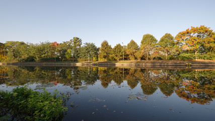Bäume an der Havel in Rathenow vor der Hauptschleuse