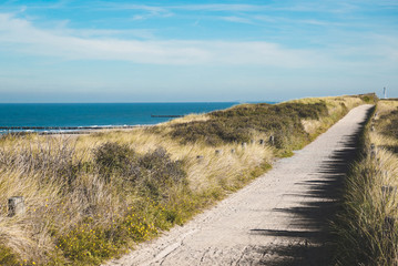 Dünen am Strand der Norsee