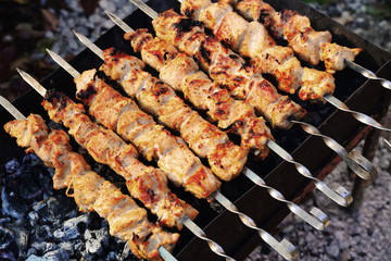 Shashlik - Russian barbecue is prepared on the grill