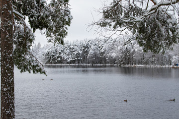 First snow at nearby lake