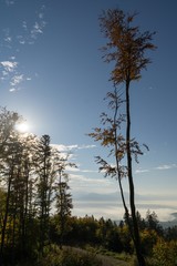 View from mountains with cloudy inversion below. Slovakia