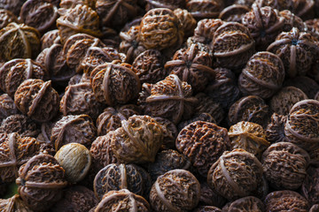 close up of chinese nuts
